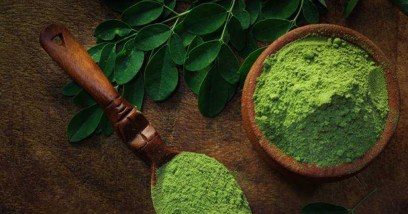 Moringa : bienfaits, précautions et comment le consommer