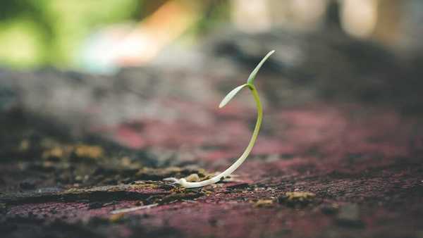 Comment avoir beaucoup de sperme ? Nos conseils ! | Charles.co